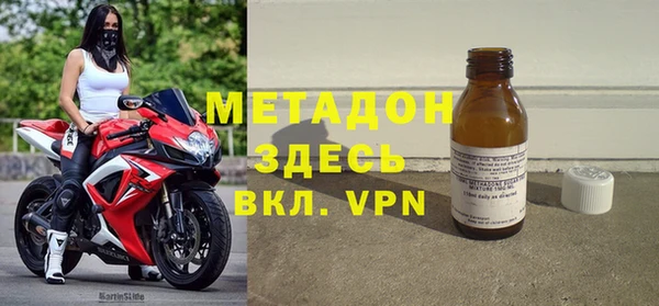 прущие грибы Медногорск