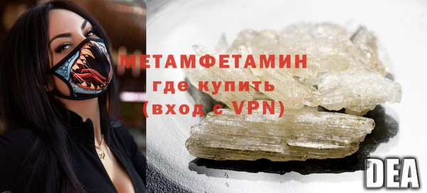 прущие грибы Медногорск