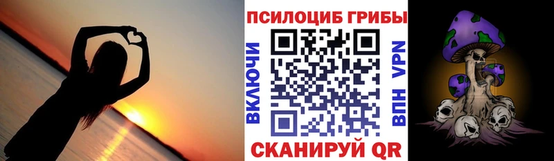 цена наркотик  Элиста  blacksprut ссылки  Галлюциногенные грибы прущие грибы 
