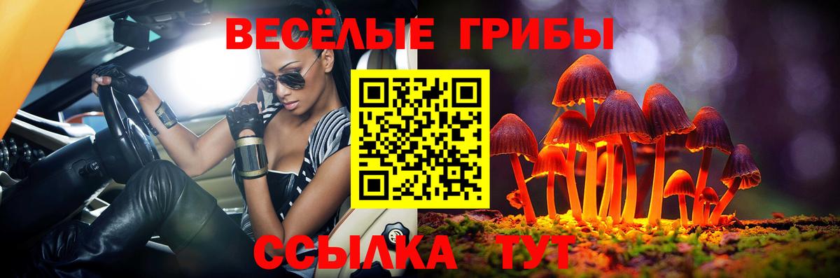 Элиста  Псилоцибиновые грибы MAGIC MUSHROOMS  Вход с VPN 
